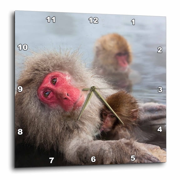 3drose, Japanese Macaque, Snow Monkey, Joshin-etsu Np, Honshu, 10x10 Wall Clock