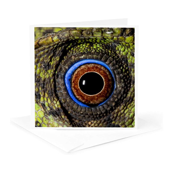 3drose, Javan Hump-headed Lizard., 1 Greeting Card with Envelope