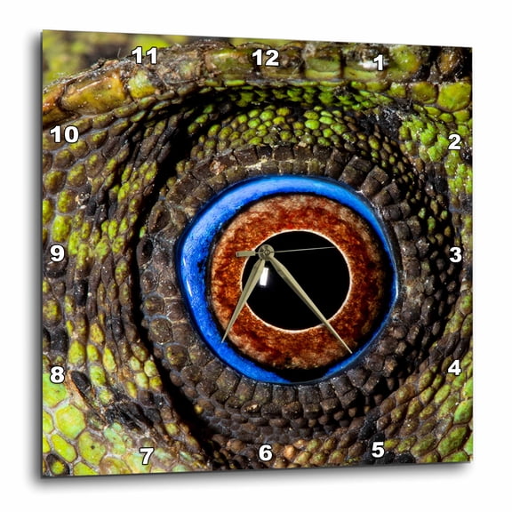 3drose, Javan Hump-headed Lizard., 15x15 Wall Clock