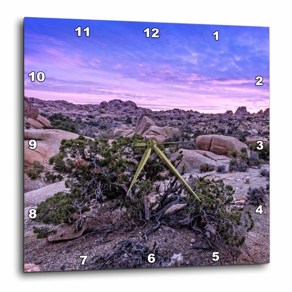 3drose, Jumbo Rocks Sunset, 10x10 Wall Clock