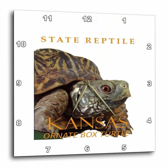 3drose, Kansas Territory Reptile the Ornate Box Turtle, 10x10 Wall Clock