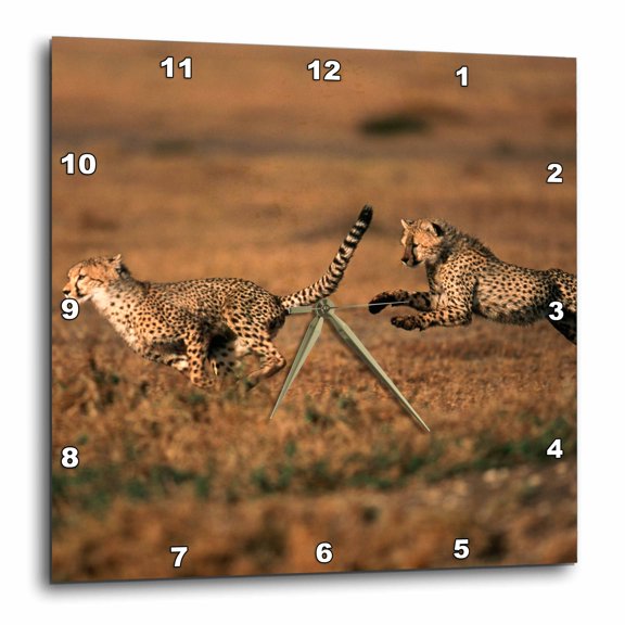 3drose, Kenya, Maasai Mara, Pair of Cheetahs Running., 10x10 Wall Clock