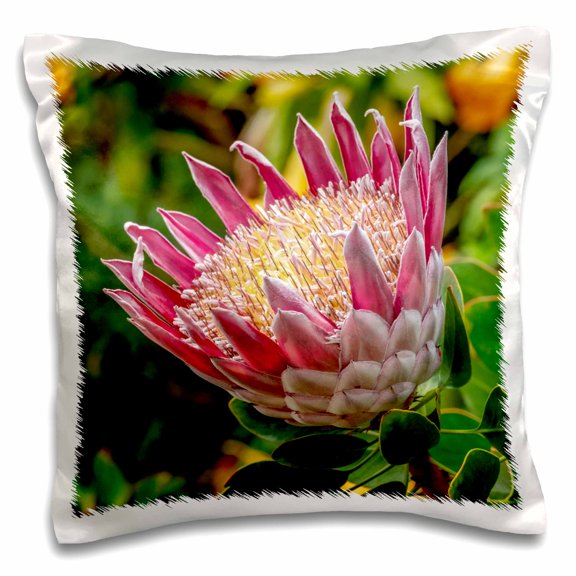 3drose, King Protea Flower, 16x16 inch Pillow Case