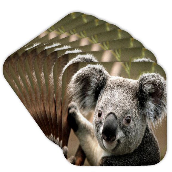 3drose, Koala Bear Closeup, Set of 8 Coasters - Cork