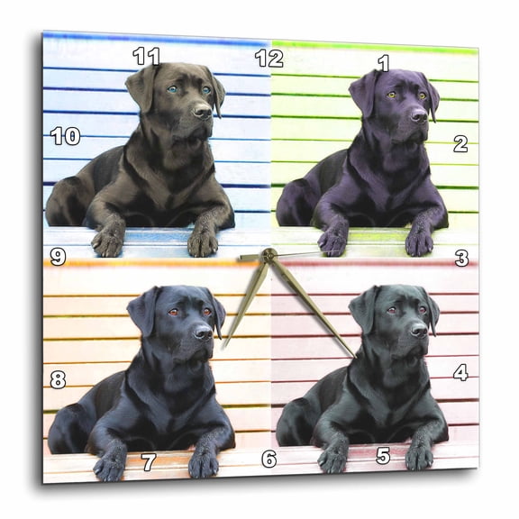 3drose, Labrador Retriever. Black. Best Friend., 13x13 Wall Clock