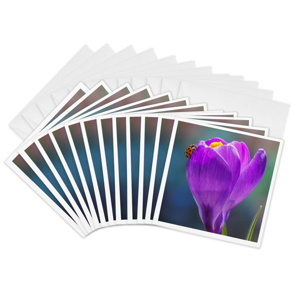 3drose, Lady Bug on Crocus Flower., 12 Greeting Cards with Envelopes