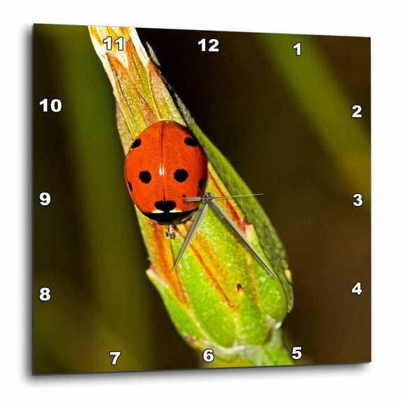 3drose, Lady Bug on Plant, 15x15 Wall Clock