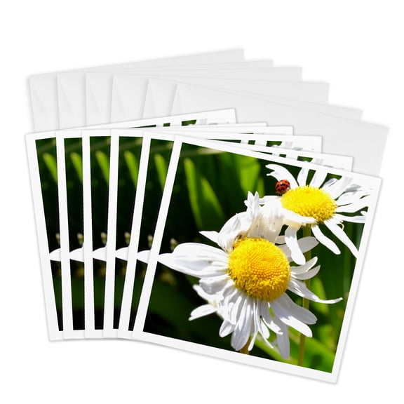 3drose, Ladybug with Daisies, 6 Greeting Cards with Envelopes