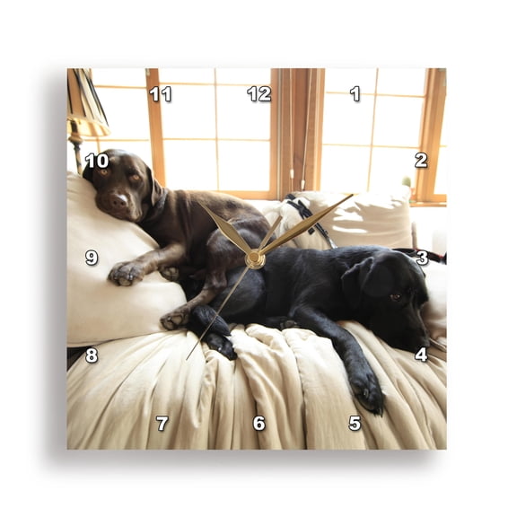 3drose, Lazy Puppies Labrador Retriever Pups Labs Sunny Window, 13x13 Wall Clock