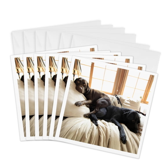 3drose, Lazy Puppies Labrador Retriever Pups Labs Sunny Window, 6 Greeting Cards with Envelopes