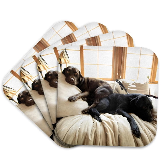 3drose, Lazy Puppies Labrador Retriever Pups Labs Sunny Window, Set of 4 Coasters - Soft