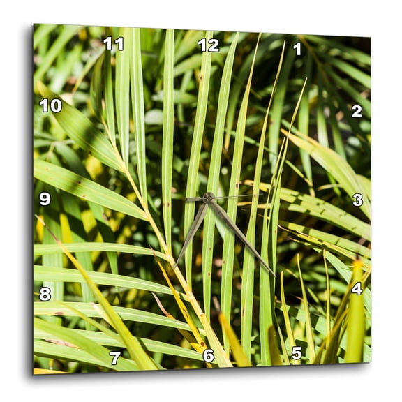 3drose, Leaves and Blades of Decorative Grass, 15x15 Wall Clock