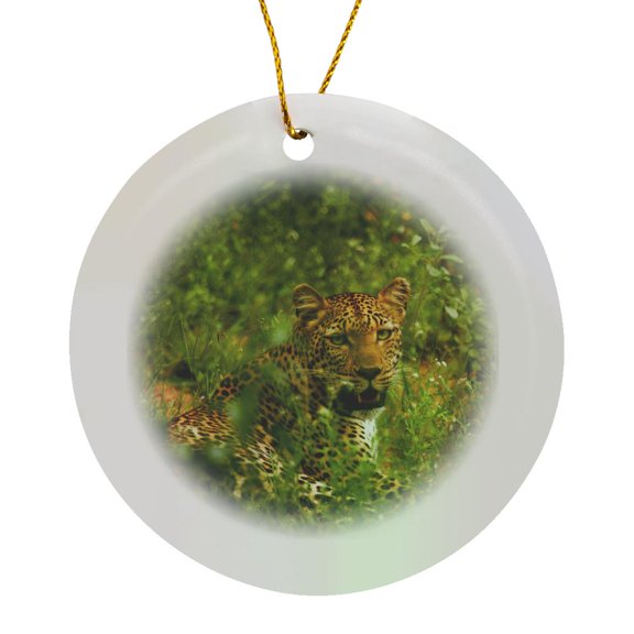 3drose, Leopard, Panthera Pardus, Kruger Np, South Africa, Circle Porcelain Ornament