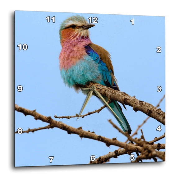 3drose, Lilac Breasted Roller, Serengeti National Park, Tanzania-af45 Aje0221 - Adam Jones, 15x15 Wall Clock