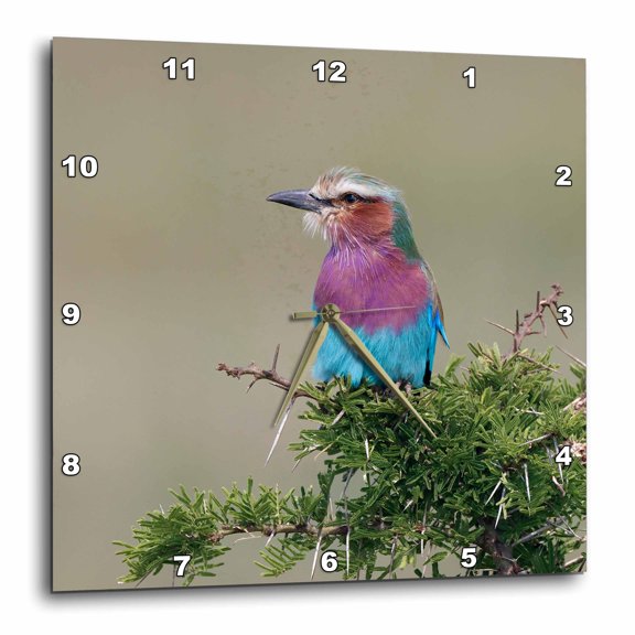 3drose, Lilac Breasted Roller, Serengeti Np, Tanzania, Africa, 10x10 Wall Clock