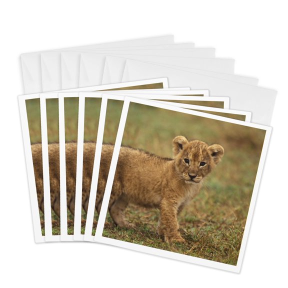 3drose, Lion Cub (panthera Leo), Kenya-af21 Kfo0022 - Kent Foster, 6 Greeting Cards with Envelopes