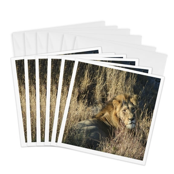 3drose, Lion King in the Grass, 6 Greeting Cards with Envelopes