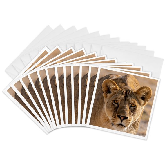3drose, Lioness on the Prowl, 12 Greeting Cards with Envelopes