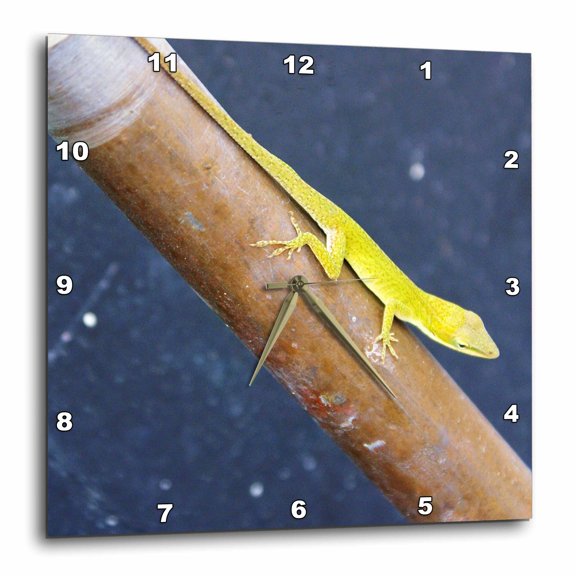 3drose, Lizard Called Green, 10x10 Wall Clock
