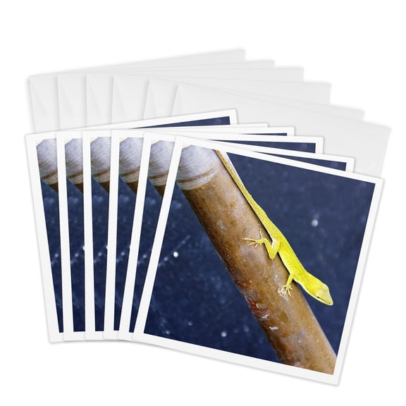 3drose, Lizard Called Green, 6 Greeting Cards with Envelopes