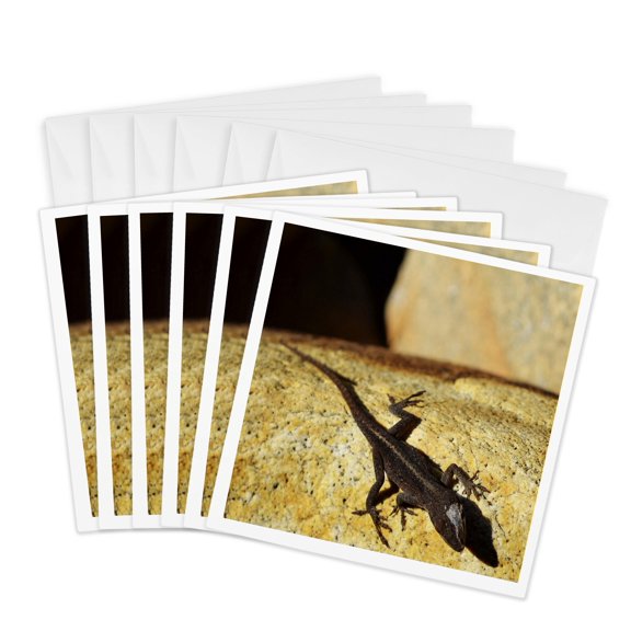 3drose, Lizard on Rock, 6 Greeting Cards with Envelopes