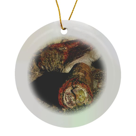 3drose, Logs, Petrified National Park, Arizona, Usa - Us03 Mhe0038 - Michel Hersen, Circle Porcelain Ornament