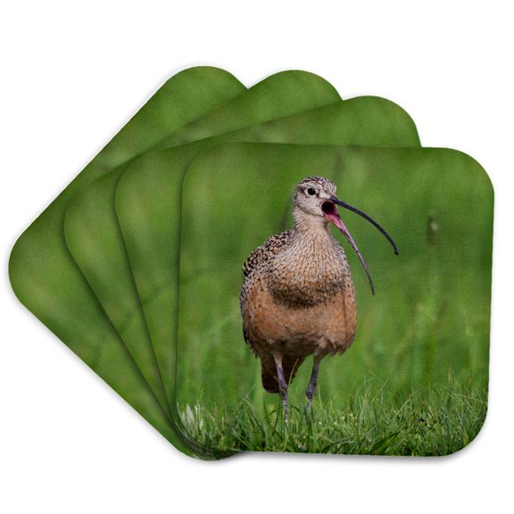 3drose, Long Billed Curlew, Calling, Set of 4 Coasters - Soft