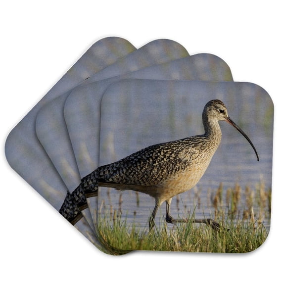 3drose, Long-billed Curlew Foraging, Set of 4 Coasters - Soft