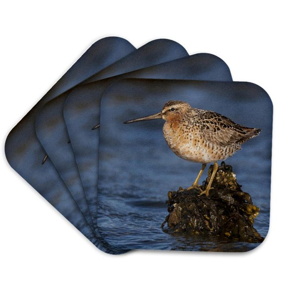 3drose, Long-billed Dowitcher, Set of 4 Coasters - Soft
