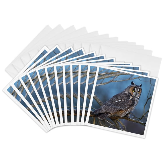 3drose, Long-eared Owl at Dusk, 12 Greeting Cards with Envelopes