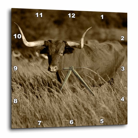 3drose, Longhorn Bull Wildlife, Oklahoma, Usa - Us37 Dbn0000 - David Barnes, 10x10 Wall Clock