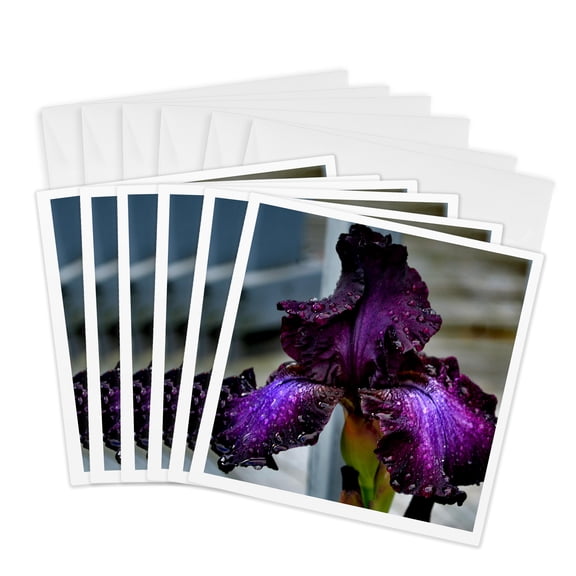 3drose, Look Closely a Deep Purple Iris with Rain Droplets on It, 6 Greeting Cards with Envelopes