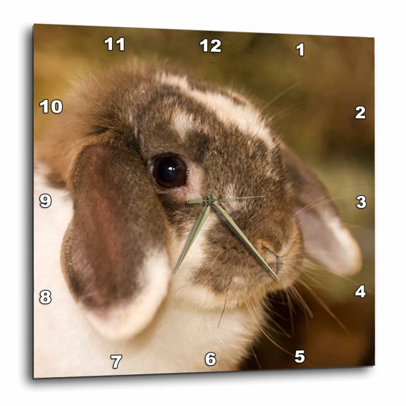 3drose, Lop Eared Bunny Sitting on a Bale of Hay., 10x10 Wall Clock