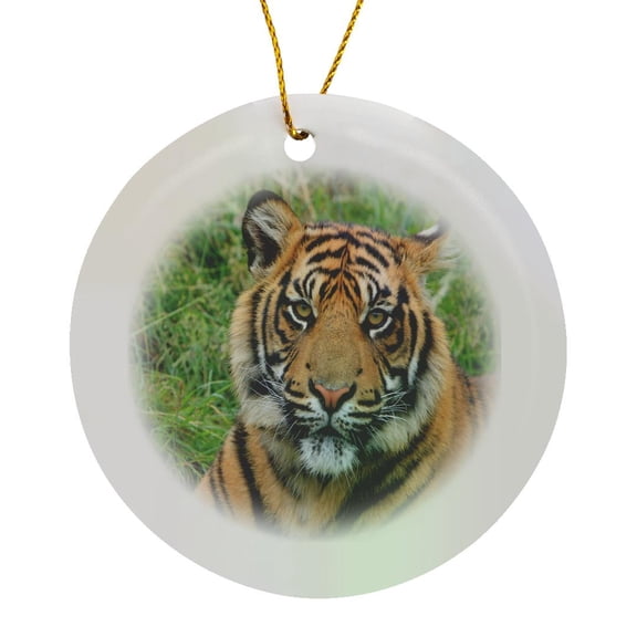 3drose, Lovely Tiger, Circle Porcelain Ornament