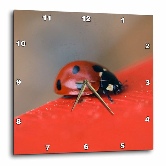 3drose, Macro Photo of Ladybug on the Edge of the Red Roof of a Bee House., 15x15 Wall Clock