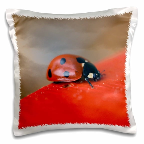 3drose, Macro Photo of Ladybug on the Edge of the Red Roof of a Bee House., 16x16 inch Pillow Case