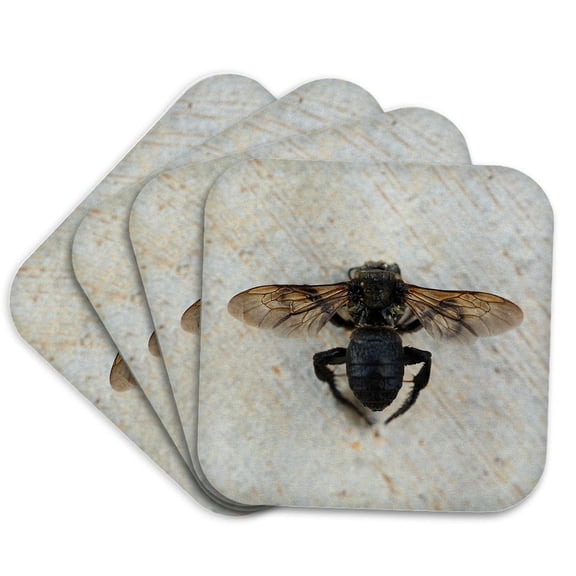 3drose, Macro Photograph of a Bee on a Concrete Patio., Set of 4 Coasters - Soft