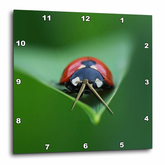 3drose, Macro Photograph of a Ladybug on the Tip of a Daylily Leaf., 10x10 Wall Clock
