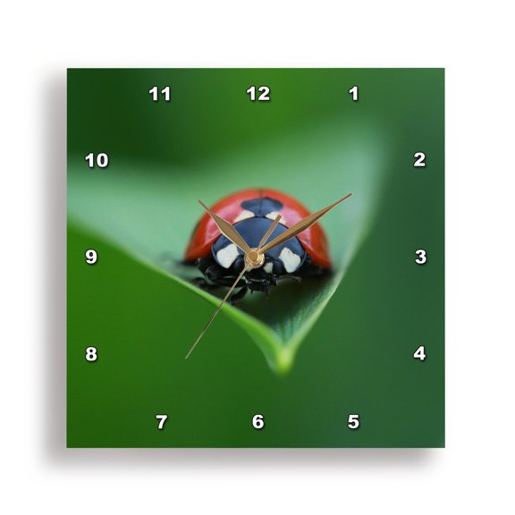 3drose, Macro Photograph of a Ladybug on the Tip of a Daylily Leaf., 10x10 Wall Clock