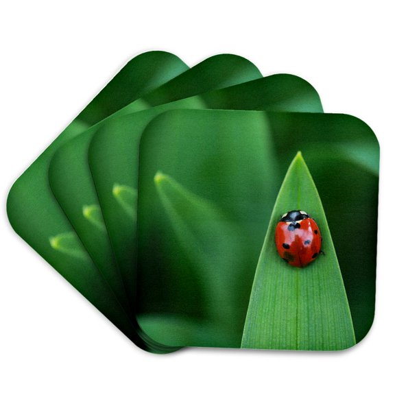 3drose, Macro Photograph of the Top View of a Ladybug on a Daylily Leaf., Set of 4 Coasters - Cork