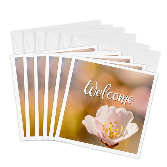 3drose, Macro View of a Pink Sakura Flower, Smooth Background. Welcome, 6 Greeting Cards with Envelopes