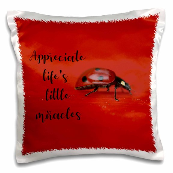 3drose, Macro of a Ladybug with the Quote Appreciate Lifes Little Miracles., 16x16 inch Pillow Case