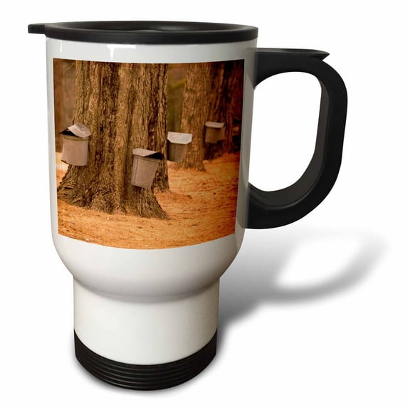 3drose, Maine, Harpswell. Tapping Maple Trees in Spring - Us20 Bja0025 - Jaynes Gallery, 14oz Stainless Steel Travel Mug