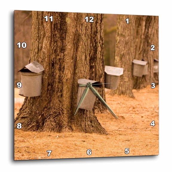 3drose, Maine, Harpswell. Tapping Maple Trees in Spring - Us20 Bja0025 - Jaynes Gallery, 15x15 Wall Clock