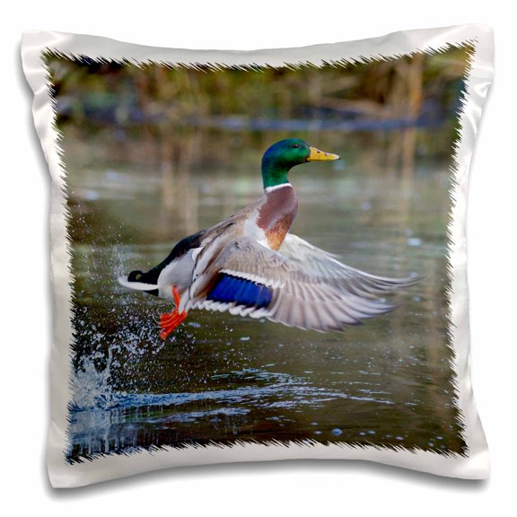 3drose, Mallard Drake Lifting Off., 16x16 inch Pillow Case