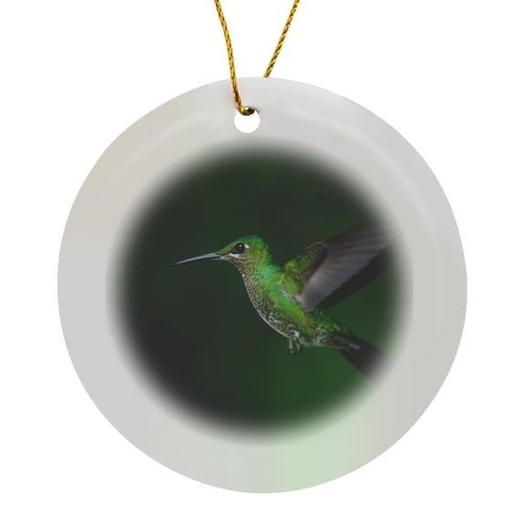 3drose, Mangrove Hummingbird. Monteverde. Costa Rica. Central America., Circle Porcelain Ornament