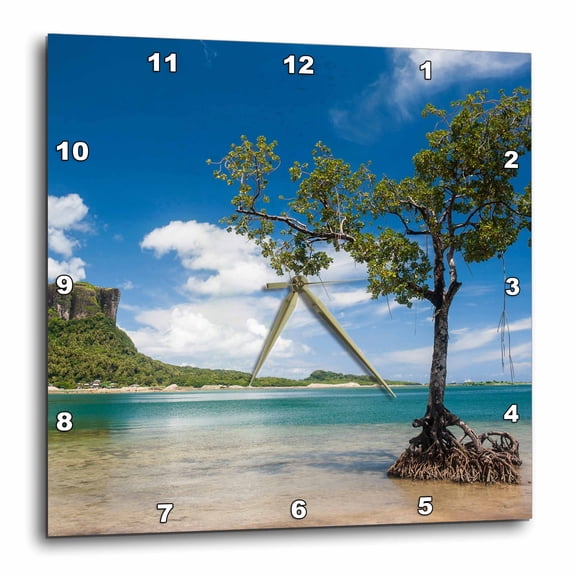 3drose, Mangrove Tree Standing in Water Near Sokehs Rock, Pohnpei, Micronesia, 15x15 Wall Clock
