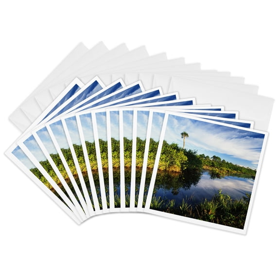3drose, Mangrove Wetland, Merritt Island Refuge, Florida, Usa - Us10 Aje0288 - Adam Jones, 12 Greeting Cards with Envelopes