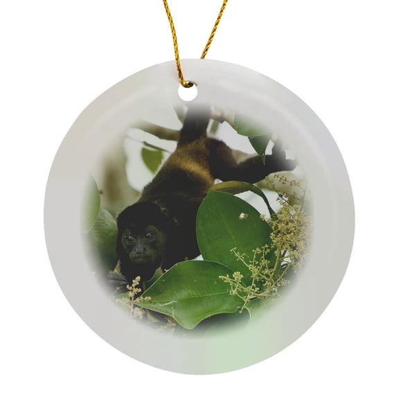 3drose, Mantled Howler Monkey Alouatta Palliata, Circle Porcelain Ornament