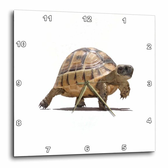 3drose, Marching Baby Tortoise Cartoon Vector Isolated, 15x15 Wall Clock